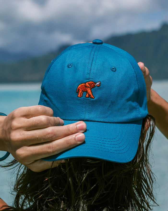 Elephant Hat - Follow Your Legend
