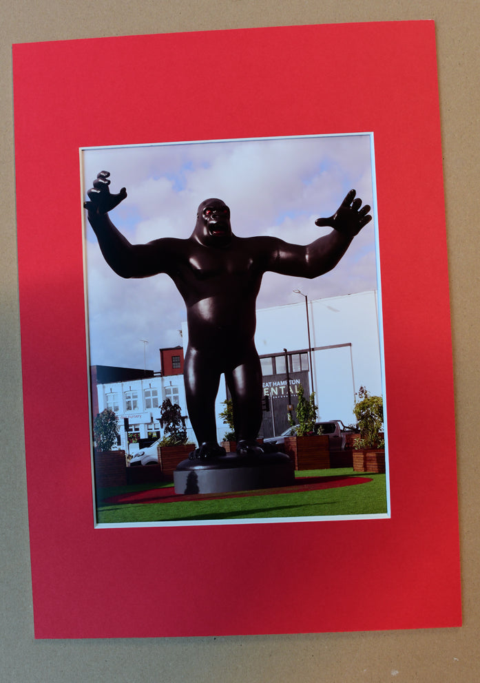 P03 King Kong - Fine Art Photo Print by Jonathan Berg