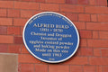 25-013 Plaque Alfred Bird