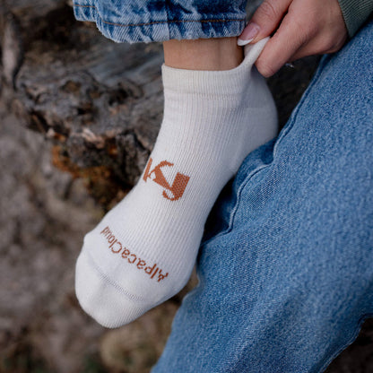 AlpacaCloud® Sock Starter Pack - Follow Your Legend