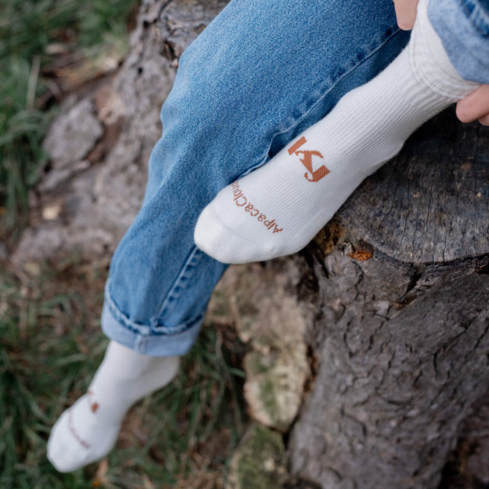 AlpacaCloud® Sock Starter Pack - Follow Your Legend