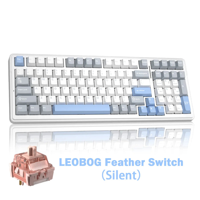 White Gray Blue-Silent Switch