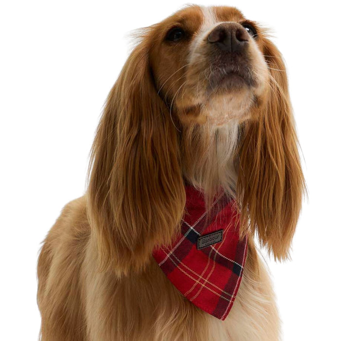 Barbour Dog Tartan Bandana - Cardinal Tartan