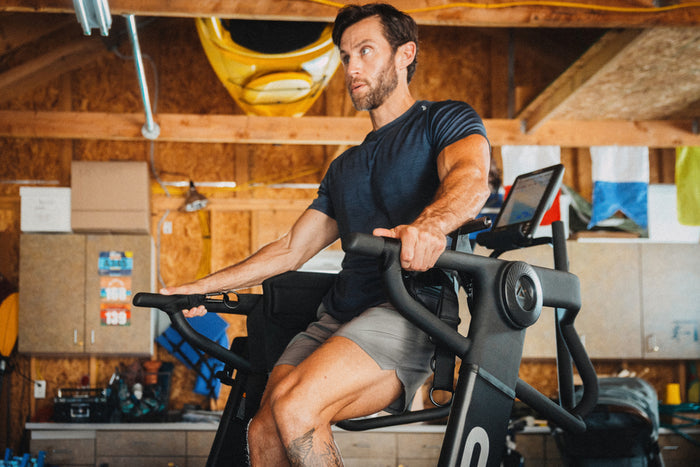 Belt Squat Belt