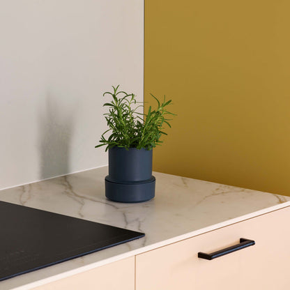 Billund self-watering pot, blueberry