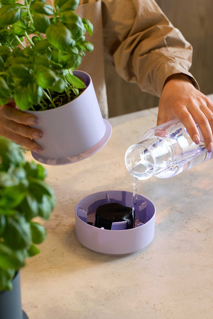 Billund self-watering pot, capillary mats 3 pcs.