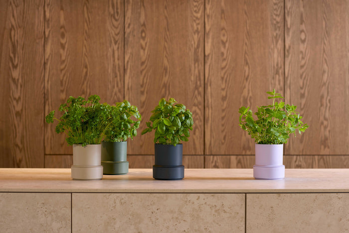 Billund self-watering pot, capillary mats 3 pcs.
