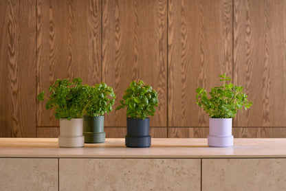 Billund self-watering pot, capillary mats 3 pcs.