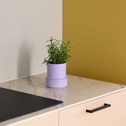 Billund self-watering pot, lavender
