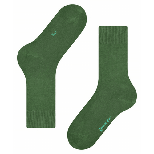 Lord Socks - Green