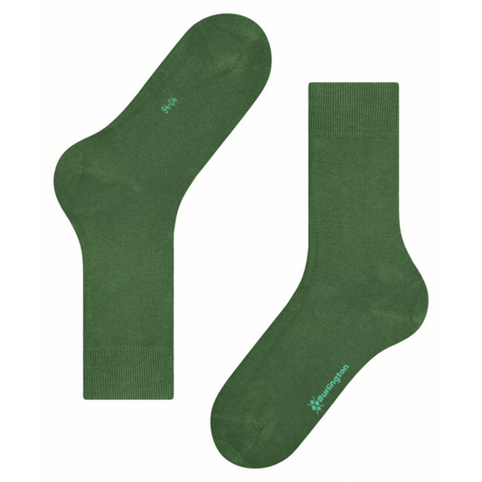Lord Socks - Green
