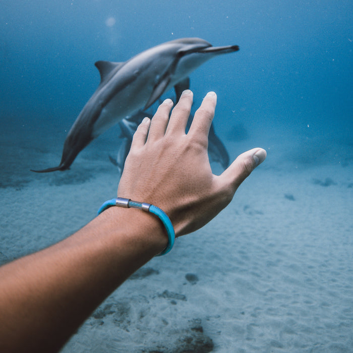 Dolphin Legend Bracelet - Follow Your Legend
