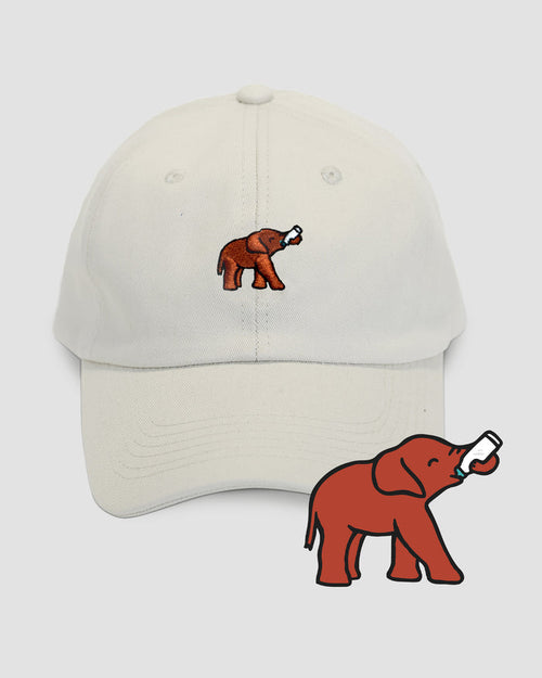 Elephant Hat - Follow Your Legend