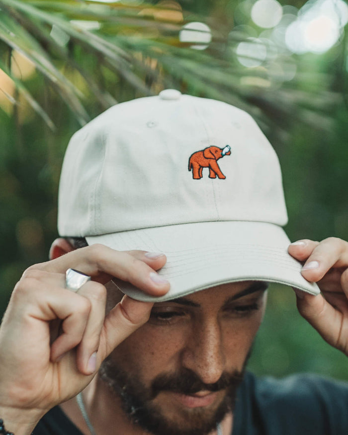 Elephant Hat - Follow Your Legend