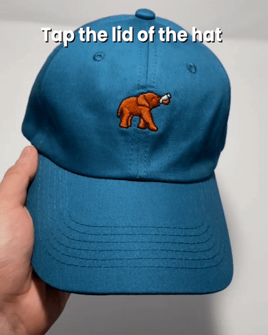 Elephant Hat - Follow Your Legend
