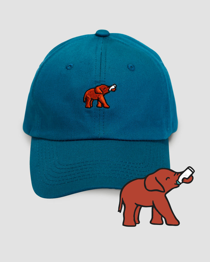 Elephant Hat - Follow Your Legend