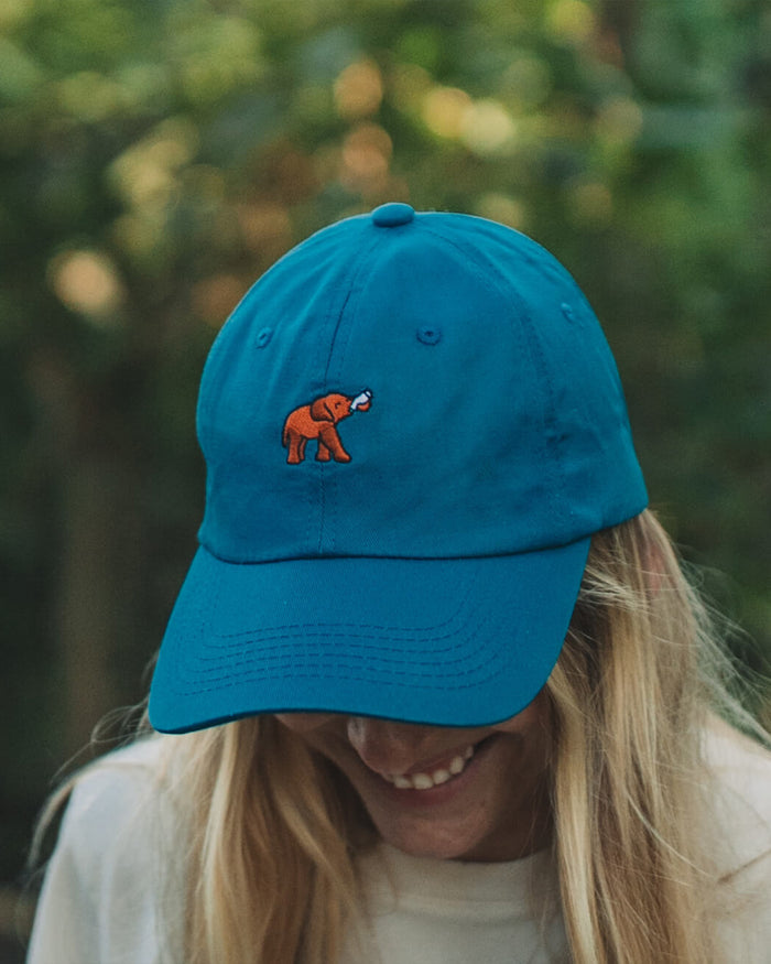 Elephant Hat - Follow Your Legend