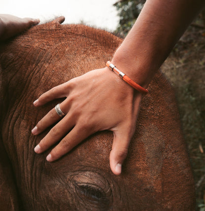 Elephant Legend Bracelet - Legend Bracelet