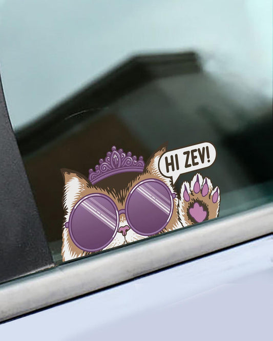 Hi Zev! Decal (Color)