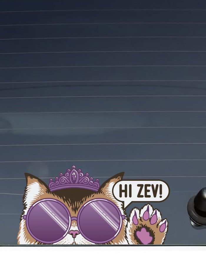 Hi Zev! Decal (Color)