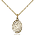 Miraculous Medal Gold Filled 18"