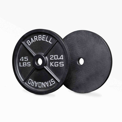 45lb Old School Iron Plate Pair