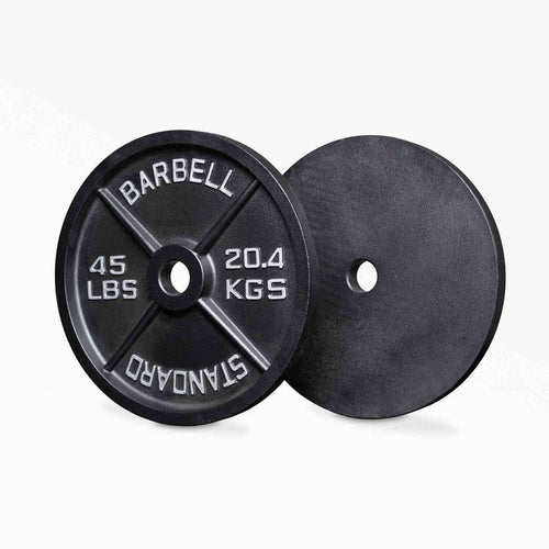45lb Old School Iron Plate Pair