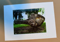 P02  Play Sculpture - Fine Art Photo Print by Jonathan Berg