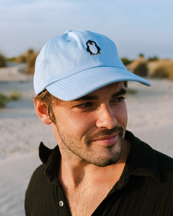 Penguin Hat - Follow Your Legend