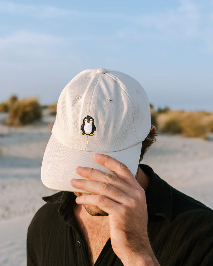 Penguin Hat - Follow Your Legend