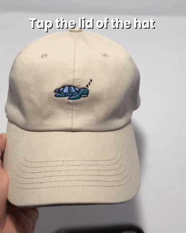 Sea Turtle Hat - Follow Your Legend