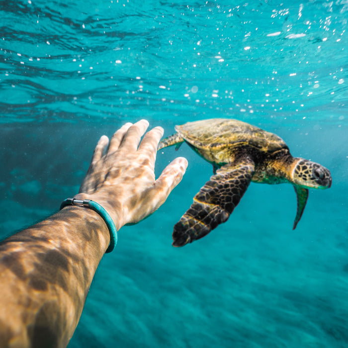 Sea Turtle Legend Bracelet - Legend Bracelet