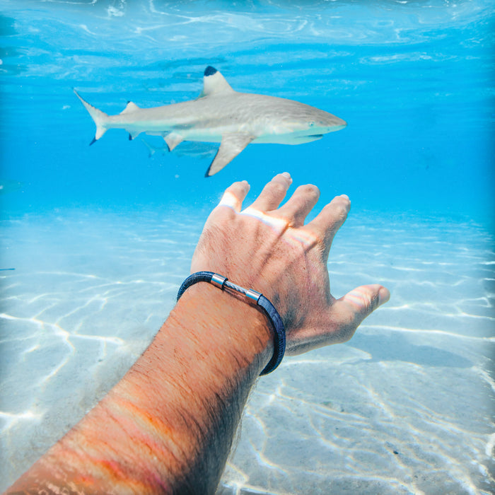 Shark Legend Bracelet - Follow Your Legend