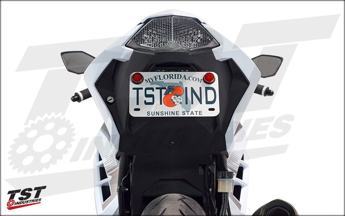 Kawasaki Ninja 300 Elite-1 Fender Eliminator