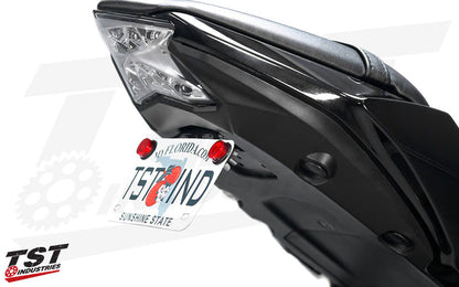 TST Industries Standard Fender Eliminator installed on the Kawasaki Ninja 650.