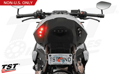 Non-U.S. models support amber turn signal actuation.