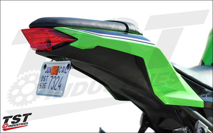 Ninja 300 Fender Eliminator