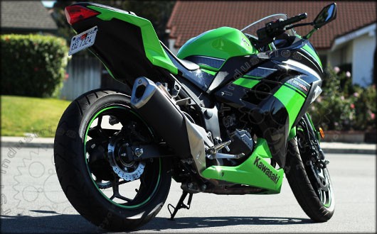 Ninja 300 Fender Eliminator