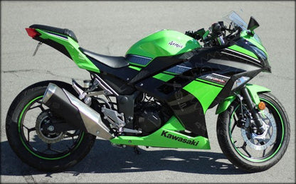 Ninja 300 Fender Eliminator