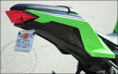 Ninja 300 Fender Eliminator