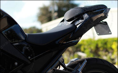 Ninja 300 Fender Eliminator