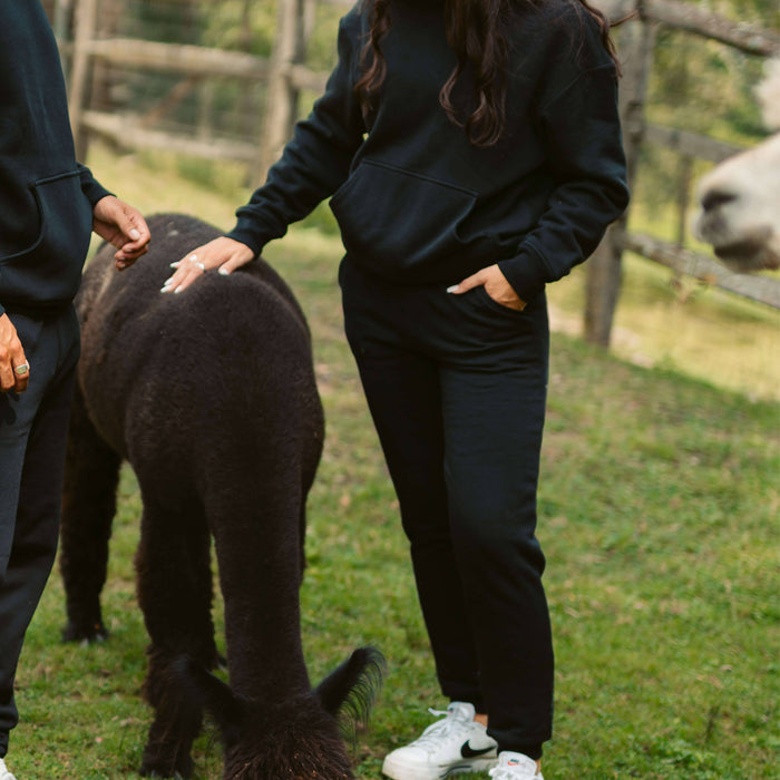 Women's AlpacaCloud® Joggers - Follow Your Legend